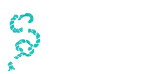 SeaJobOffers